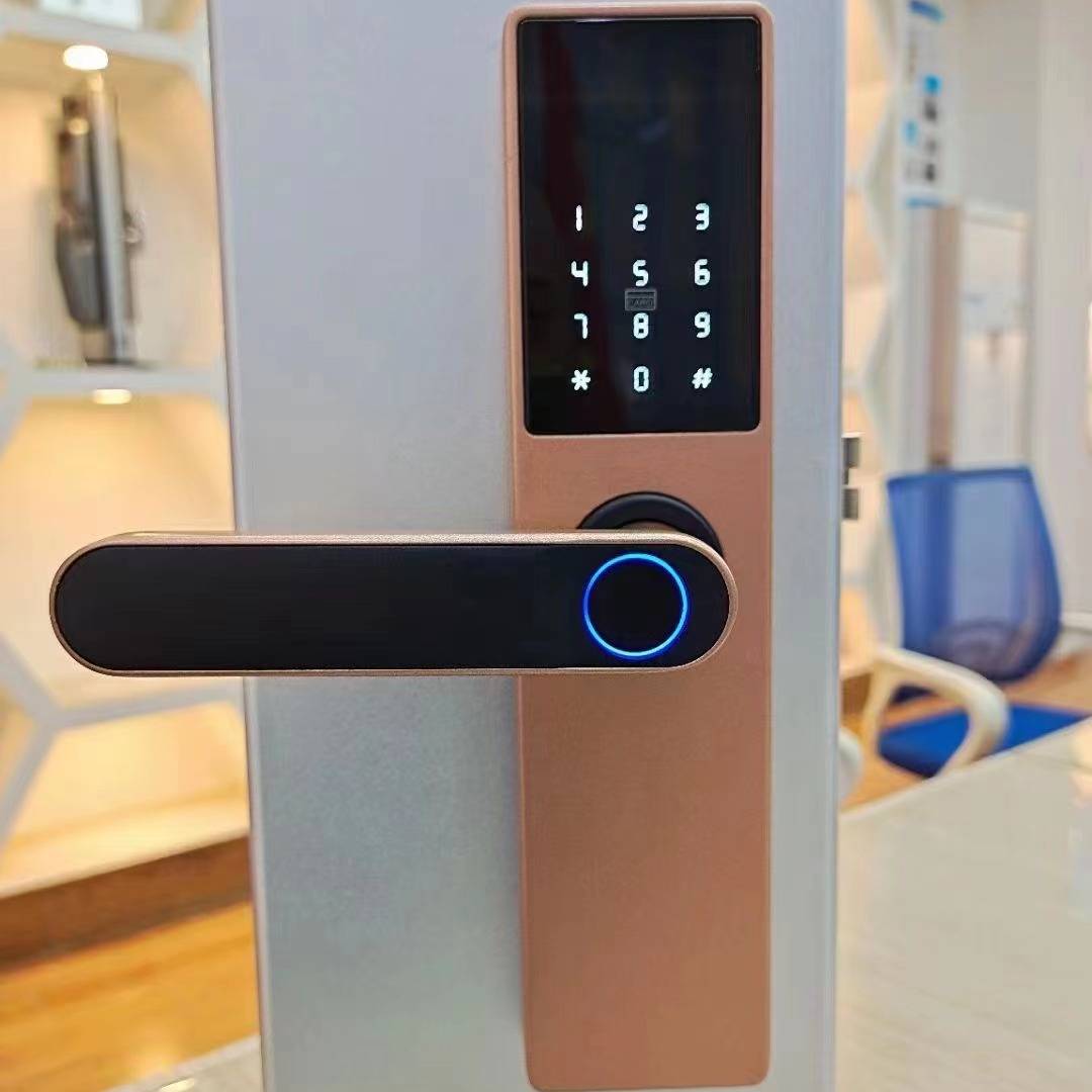 serrure d'empreinte digitale de porte en bois
