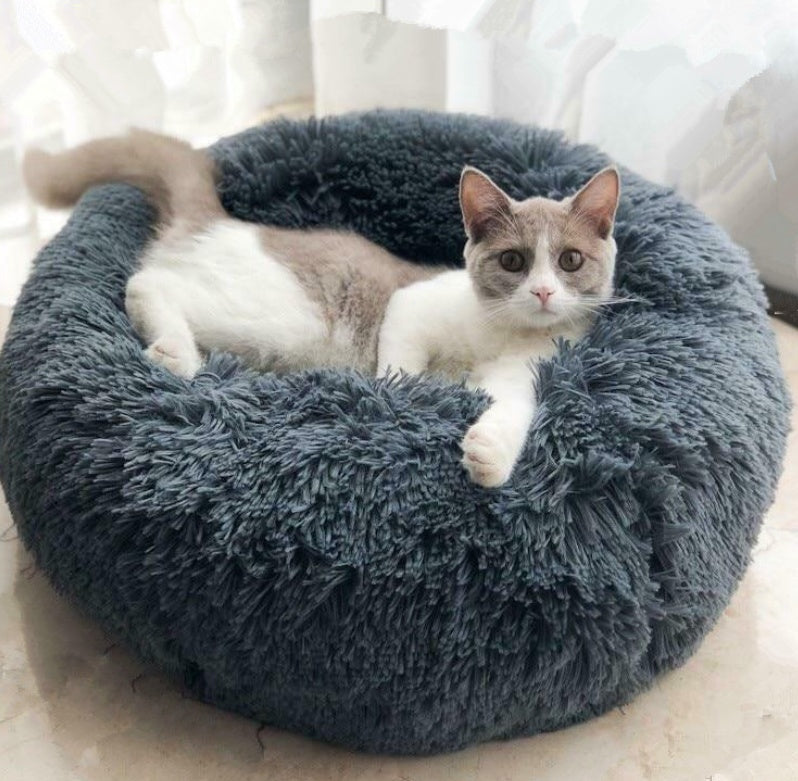 Pet Lit