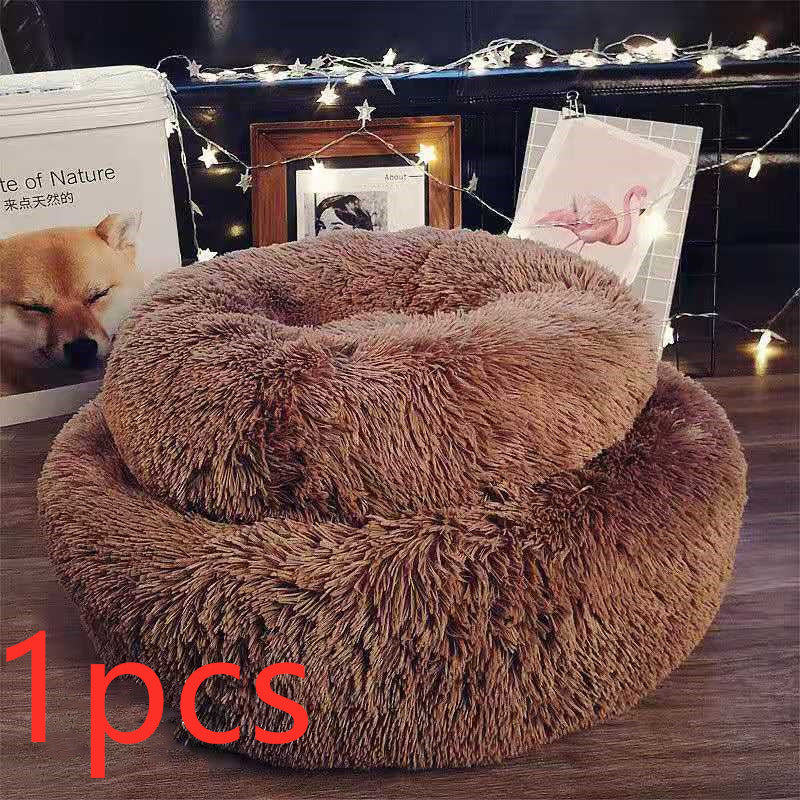Pet Lit