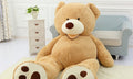 Large American teddy bear