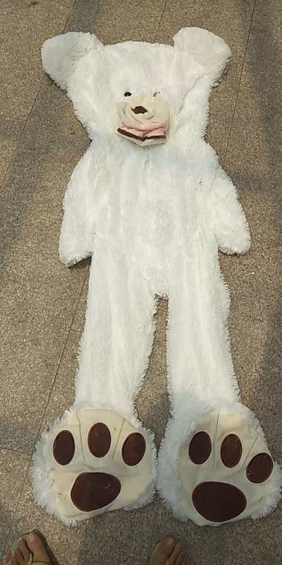 peluche Américain grand ours