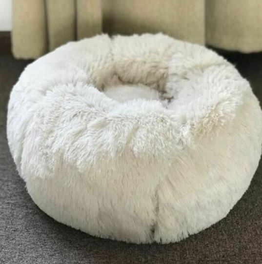Pet Lit